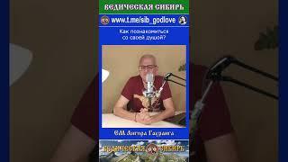 Как познакомиться со своей душой? #ведические #веды #господь #сибирь #духовное #вегетарианство