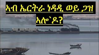 ዳህሳስ ነዳድን ጋዝን ኣብ ኤርትራ? // Oil and Gas Exploration In Eritrea