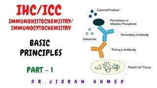 IHC/ICC PART 1 II ADVANCED TECHNIQUES II IMMUNOHISTOCHEMISTRY II IMMUNOCYTOCHEMISTRY II PATHOLOGY