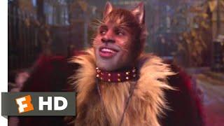 Cats (2019) - The Rum Tum Tugger Scene (3/10) | Movieclips