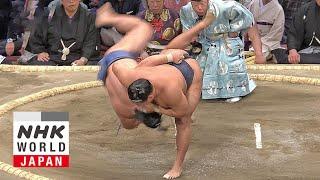 GRAND SUMO: Day 5 of the November 2024 Tournament - GRAND SUMO Highlights