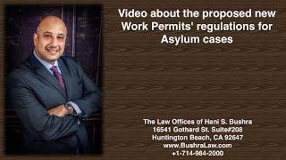 Proposed new Work Permits' regulations for Asylum cases