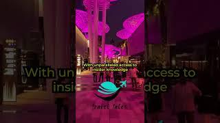 Best Dubai Nightlife Travel Guide 2023