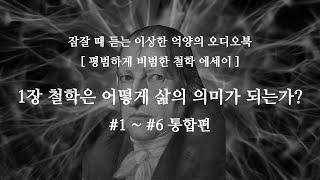 [철학 에세이] 1장. 철학은 어떻게 삶의 의미가 되는가 (오디오북 통합편)