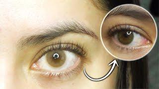 Most Natural Hazel Contacts | *BEST Hazel Contacts IN THE WORLD!*