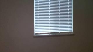 SACRAMENTO RENTAL HOMES by SACRAMENTO PROPERTY MANAGEMENT