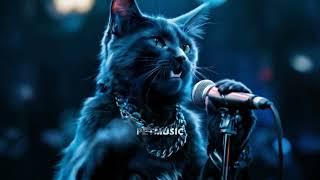 Metallica Cover Lyrics Cat Music Song #catmusic #catlover #catshorts #catholic #catvideo Remix Music