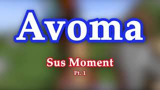 Avoma sus moment pt. I