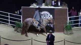 Riata Buckle Horse Sale Las Vegas NV DEC 2024_Dec08_13-59-26.mp4