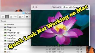 Quick Look Not Working on Mac After macOS Sequoia/Sonoma Update (Fixed)