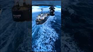 This boat was adapted to Alaska Crab Fishing.  #Wizard #DeadliestCatch #BTS