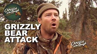 Giant GRIZZLY BEAR Attacks Moose | Canada in the Rough