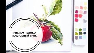 Поэтапный урок рисования _Создаем яблоко спиртовыми маркерами SKETCHMARKER