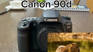 Camera review: the canon 90d is the best!