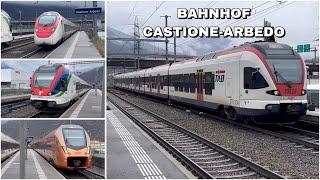 Züge beim Bahnhof Castione-Arbedo | Trains at Castione-Arbedo station (2024)