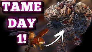 Ark How To Tame A Rock Golem On Day 1! No Traps Needed, Ark Pvp Early Game