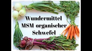 Wundermittel MSM organischer Schwefel - DAS passiert, wenn du MSM organischen Schwefel einnimmst!