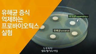 유해균 증식 억제하는 프로바이오틱스 실험 - (20130209_448회 방송)_장 속 유익균이 건강을 지킨다