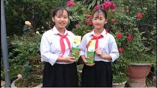 Làng Nghề chè truyền thống xóm 9 Sông Cầu