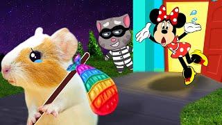 Go Away, Stranger! Hamster Escapes Tom Maze In Real Life | Life Of Pets HamHam