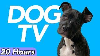 Dog TV - Virtual Adventure Experience for Dogs to Watch - Petflix (20 Hours)