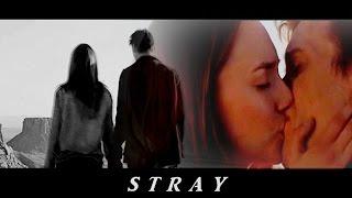 The Host || Ian & Wanda || Stray [Dedicated to Mrseclipse555]