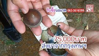 จ่าย 75,000บาท จากกรุงเทพ | #รับซื้อuอแsด