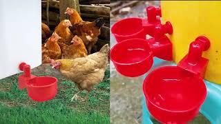 How to install Chicken Waterer Cups