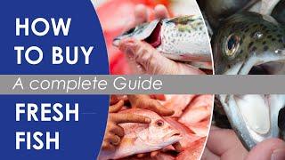 how to buy fish - guide to pick fresh seafood