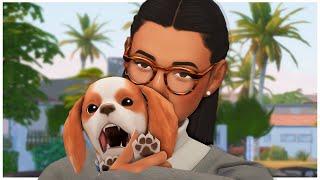  PLAYING THE SIMS LIKE THIS IS SO FUN | The Sims 4 Current Household (March 2022)