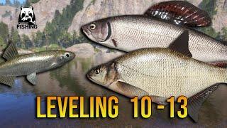 Leveling (LV10-13) Bleak, Bream, Grayling Spots - Russian Fishing 4