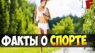 ФАКТЫ О СПОРТЕ