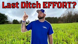 ABSOLUTE Worst Food Plot SEED To Plant!