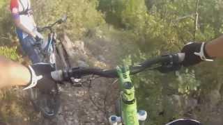 Downhill Japlanica