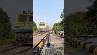 Brand New Shatabdi Livery WAP-4 LOCO at Railgate