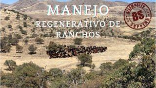 VISITA RANCHO “ESCUELA” CARRETAS. BEEFMASTER SUPREMO EPISODIO 31