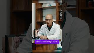 Как возникает простатит? #лабораторияолимп #кдлолимп