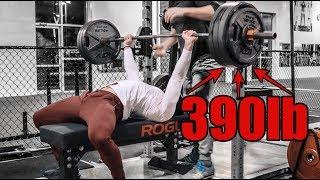 390lb Bench Press & 455lb Squat | Important Updates