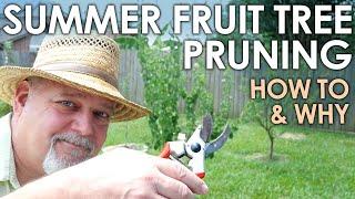 Summer Fruit Tree Pruning - How To and Why || Black Gumbo