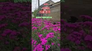 #윤정아 #언제벌써 #시골 마을