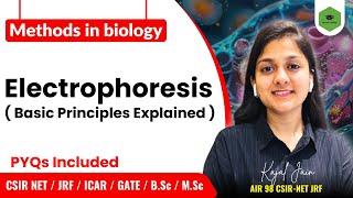 Unit-13| Electrophoresis | Basic principle| Types | Agarose Gel | CSIR-NET JRF II