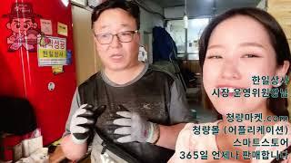 한일상사