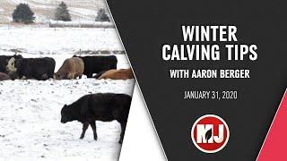 Winter Calving Tips | Aaron Berger | January 31, 2020