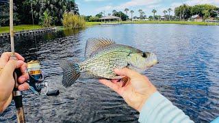 4 Hours of RAW and UNCUT Kayak Fishing Florida Canals for GIANT Bluegill and Peacock Bass | Lake Ida