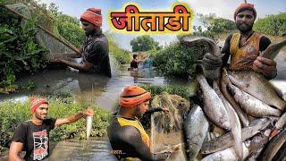 उतरण्याची जितारी | आज असूला भेटली जितारी, करपाली, चिंबोऱ्या | Barramundi | Tiger Prawns