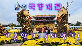 가을 축제의 대명사 [ 함평국화축제, 국향대전] 꼭 한번 가 보세요.