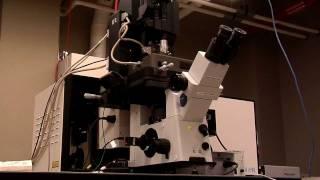 Discover Innovation at the Innovation Institute at Henry Ford