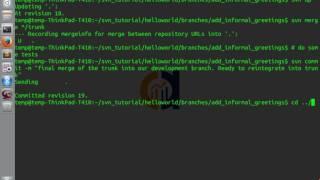 SVN Command Line Tutorial 3