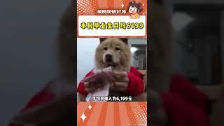 到底是誰偷了我的工資!#萬萬沒想到 #工資 #就業