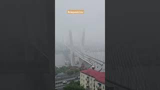 Июнь во Владивостоке такой. #БлогВладивосток ищи в телеграмм и вк и рт и дзен.